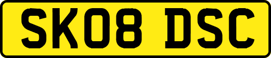 SK08DSC