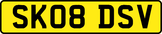 SK08DSV