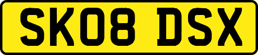 SK08DSX