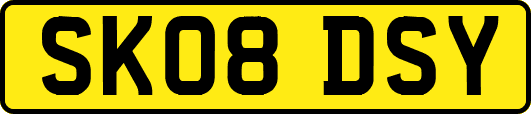 SK08DSY