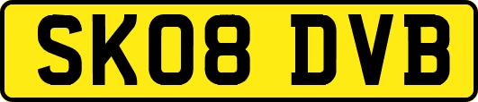 SK08DVB