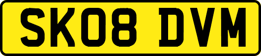 SK08DVM