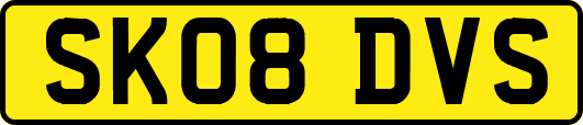 SK08DVS