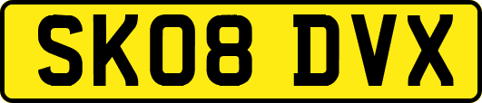SK08DVX