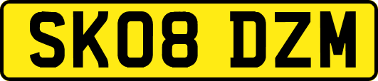 SK08DZM