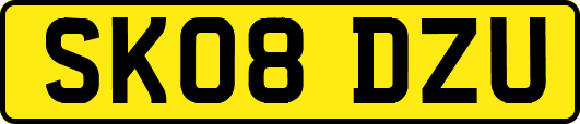 SK08DZU