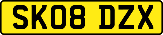 SK08DZX