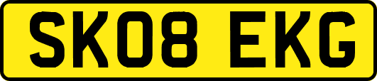 SK08EKG