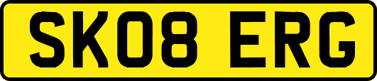 SK08ERG