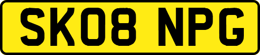 SK08NPG