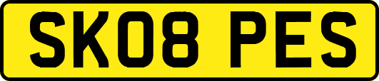 SK08PES