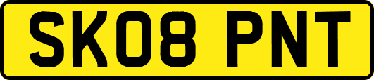 SK08PNT
