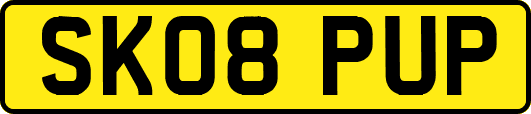 SK08PUP