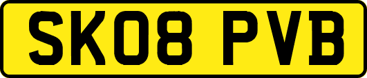 SK08PVB