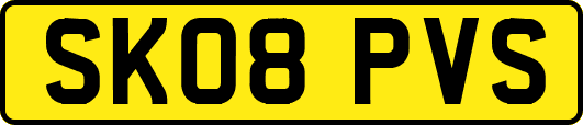 SK08PVS