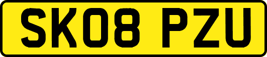 SK08PZU