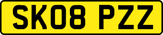 SK08PZZ