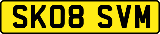 SK08SVM
