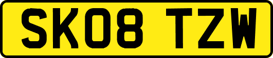 SK08TZW