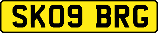 SK09BRG