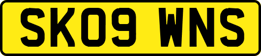 SK09WNS