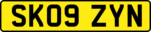 SK09ZYN