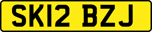 SK12BZJ