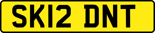 SK12DNT