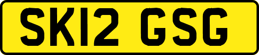 SK12GSG