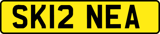 SK12NEA