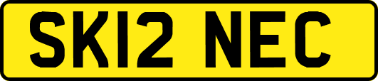 SK12NEC