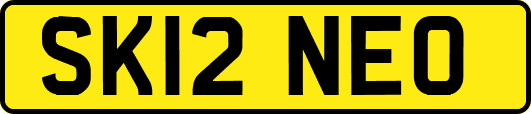 SK12NEO