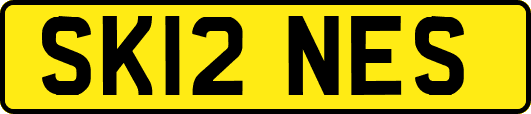 SK12NES