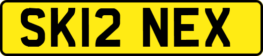 SK12NEX