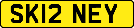 SK12NEY