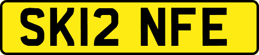 SK12NFE