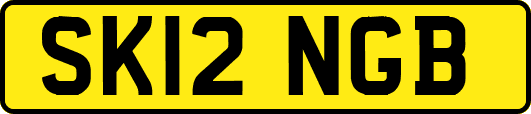 SK12NGB