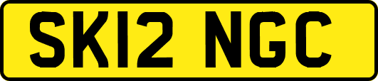 SK12NGC