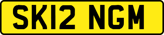 SK12NGM