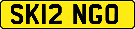 SK12NGO
