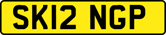 SK12NGP