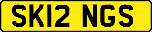 SK12NGS