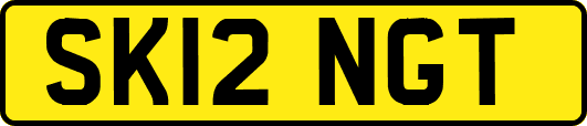 SK12NGT