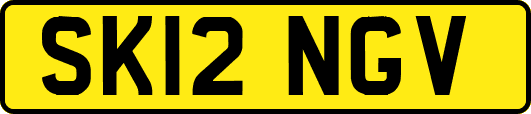SK12NGV