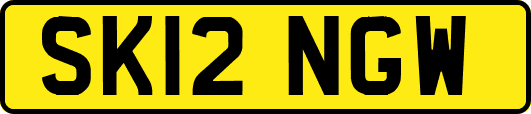 SK12NGW