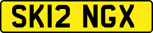 SK12NGX