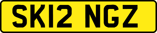 SK12NGZ