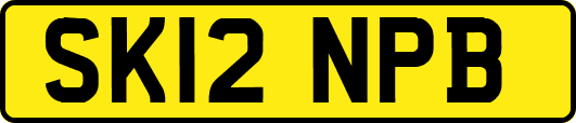 SK12NPB