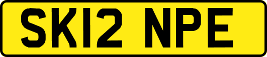 SK12NPE