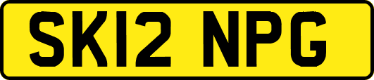 SK12NPG